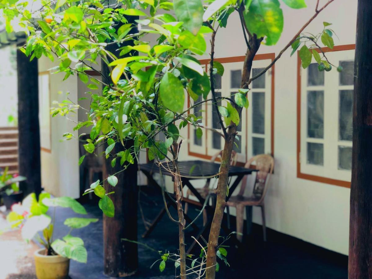 Drongo Place ดิคเวลลา ภายนอก รูปภาพ